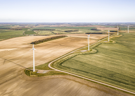 Agricultural Trends 2025: New Opportunities for the Seed Market Amid Legislative Changes