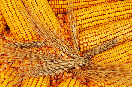 Важлива новина для клієнтів компанії “Мірасол”